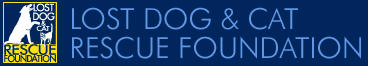 Lost Dog and Cat Rescue Foundation